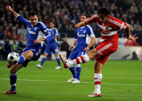 众对篮球的 众对篮球的